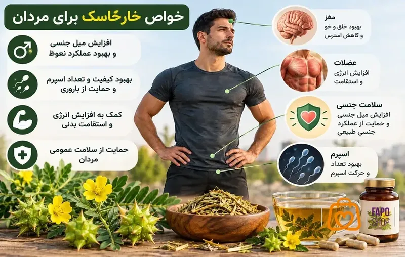 خواص شگفت انگیز گیاه خارخاسک: بهره گیری از نیروهای طبیعی برای سلامت مردان