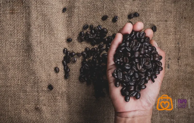 چه دانه قهوه ای مناسب شما است