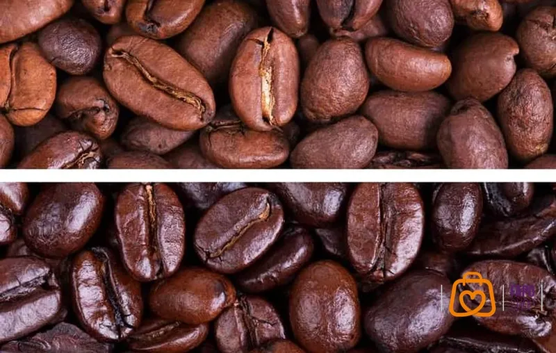 انواع دانه‌های قهوه