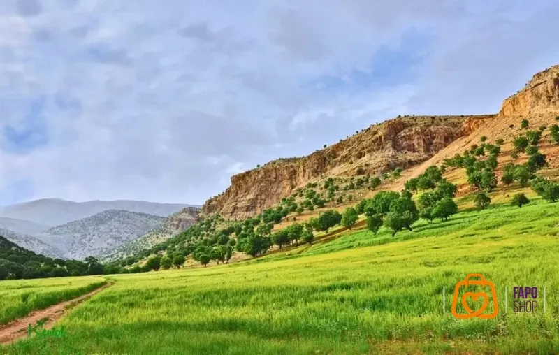 لذت سفر در بهار: چرا باید بعد از تعطیلات نوروزی سفر کنیم؟