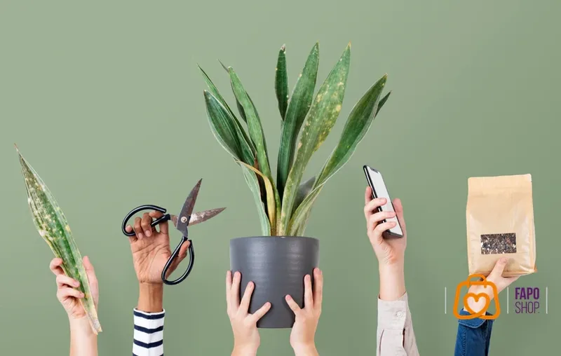 استفاده از گل‌ها و گیاهان طبیعی