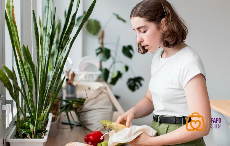 نکات مهم برای مراقبت از گیاهان آپارتمانی