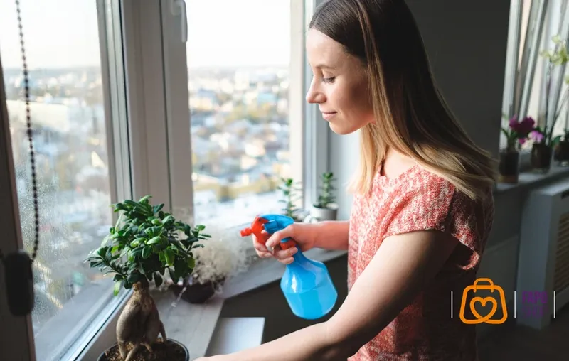 چرا نگهداری گیاهان آپارتمانی اهمیت دارد؟