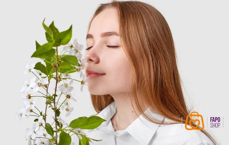 5. استفاده از گیاهان خانگی