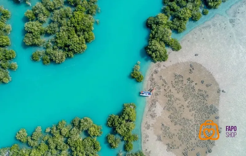  نکات مهم برای طبیعت گردی ایمن