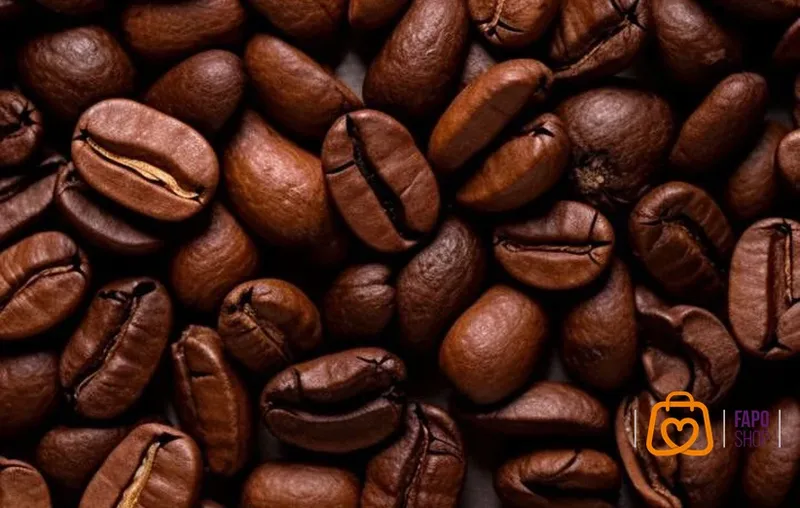 دانه قهوه اکسلسا (Excelsa)