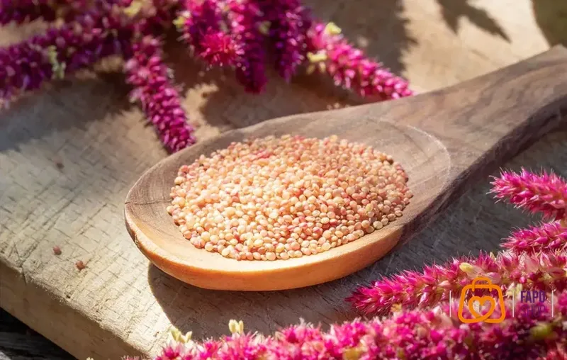  آمارانت چیست و چرا آن را باستانی می نامند؟