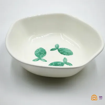 کاسه مینیمال ماهی