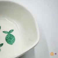 کاسه مینیمال ماهی