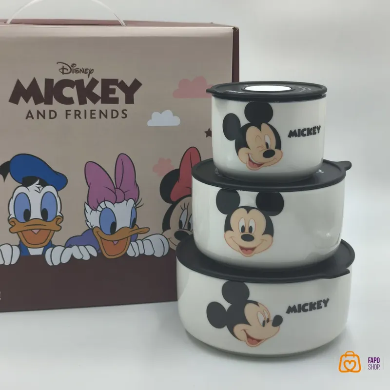 پک ظروف نگهداری غذای دیزنی