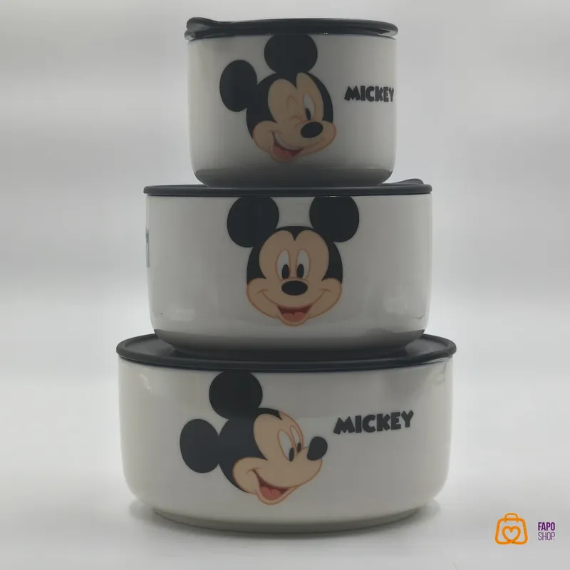 پک ظروف نگهداری غذای دیزنی