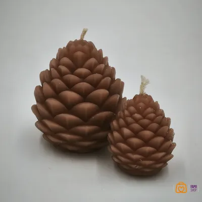 شمع کاج دوتایی