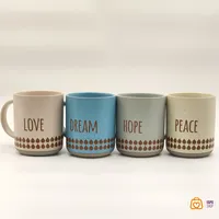 ماگ دنی هوم